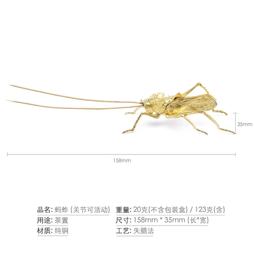 Чистая медная трава чай PET Pure Медные листья дерева и кузнечик чай набор