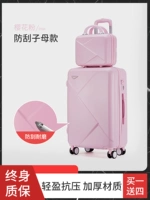 Классическая материнская элита [порошок сакура]