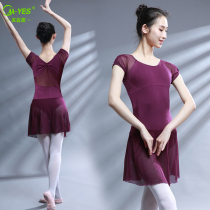 New modern dance clothes lian gong fu adult female ballet skirt suit fit the costume training xing ti fu purple
