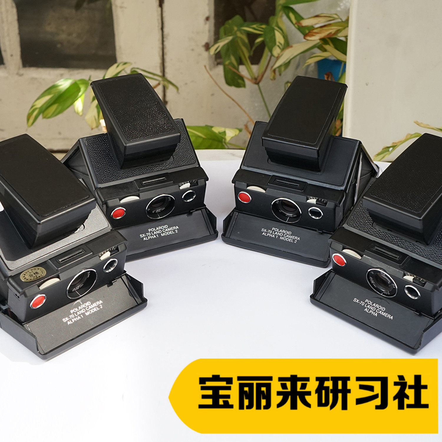 Paoli comes to SX-70 Department model2 Alpha Black Machine standalone to be a good special price spot