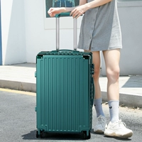 Синьяо наслаждался молнией/темно -зеленым