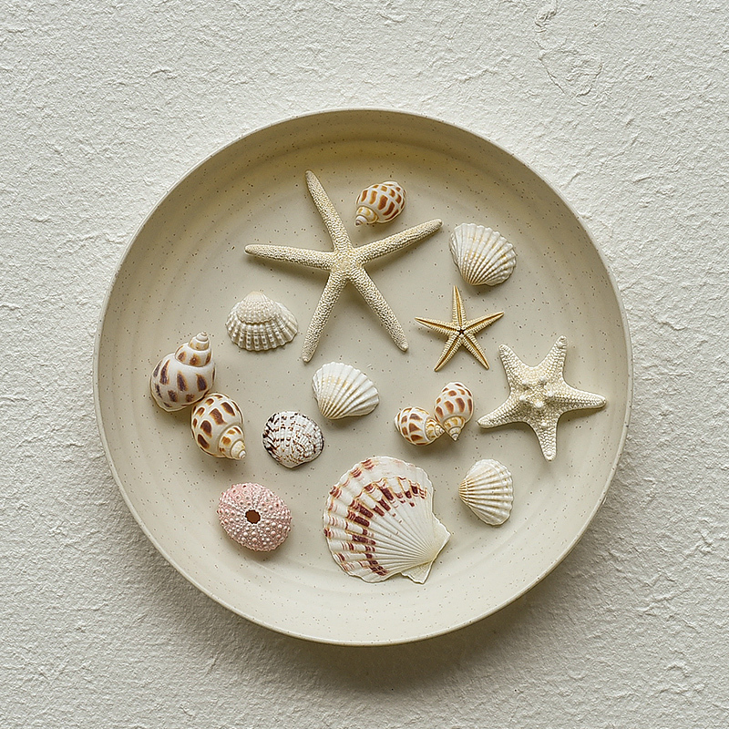 ins Natural Conch, Starfish, Shell, and Coral Photo Props, Ocean and Mediterranean Decorative Ornaments, Photography Background Cloth ins Natural Conch, Starfish, Shell, and Coral Photo Props, Ocean and Mediterranean Decorative Ornaments, Photography Background Cloth
