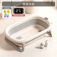 Вулканический пепел [Цифровой дисплей для подъема температуры] Подарочный пакет с одним раковином