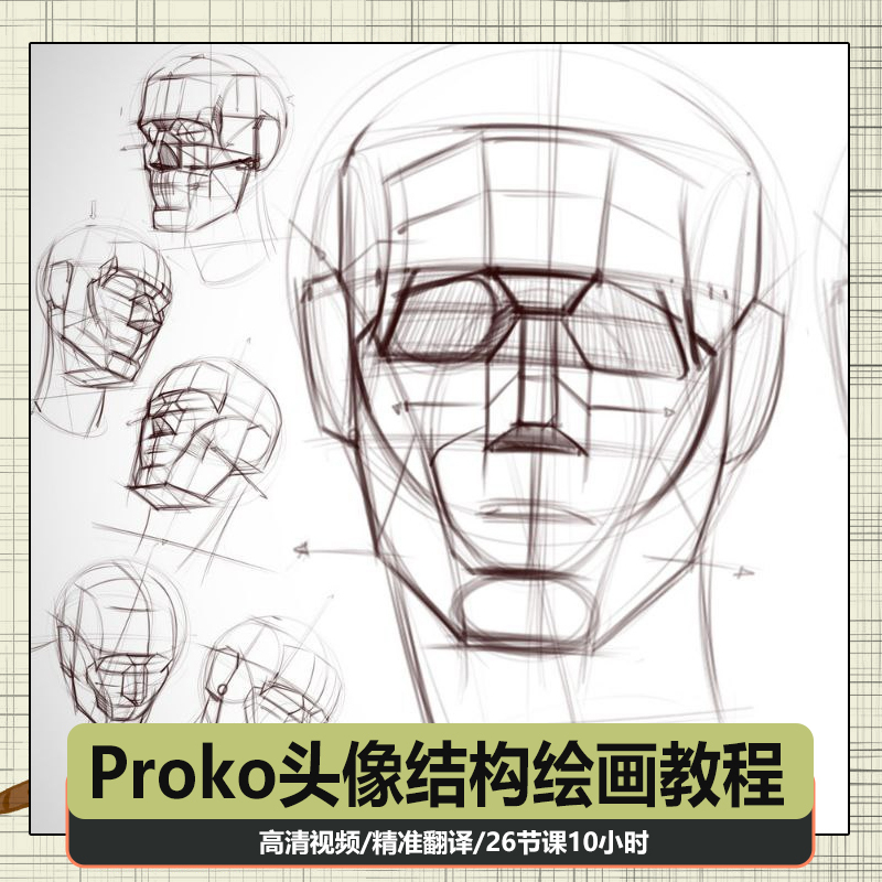 Proko Portrait Structure Drawing Tutorial, Portrait Facial Features Line Drawing Video Course