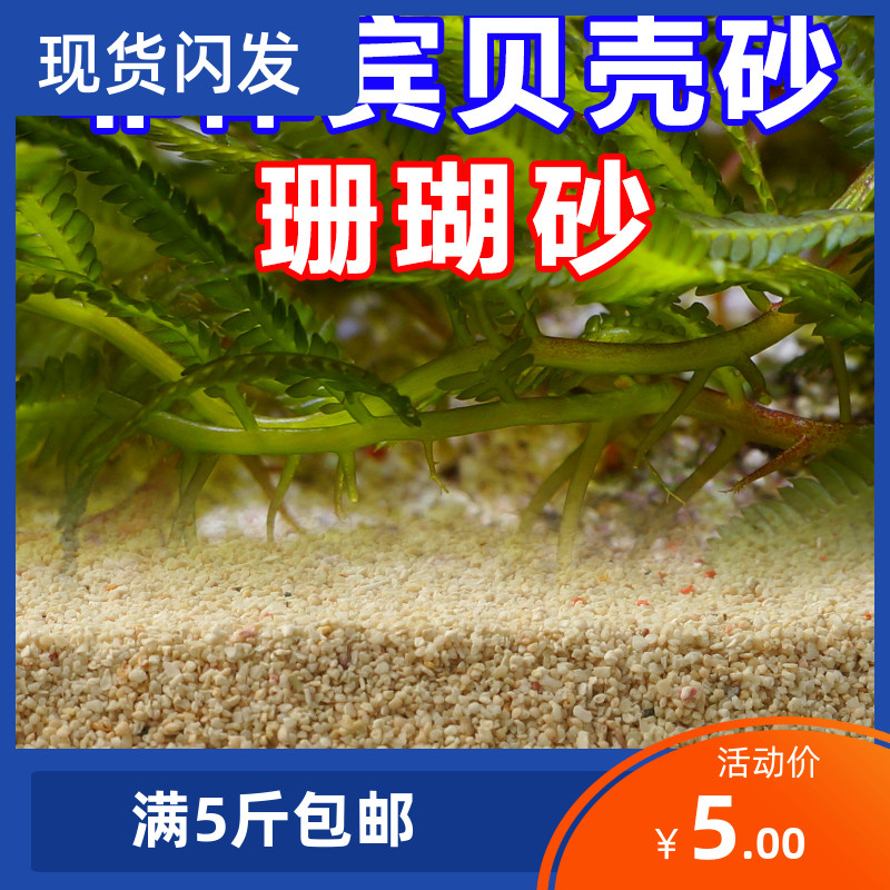 Philippine sand coral sand sand sand fish tank bottom sand sand landscape Aquarium Sea water tank bottom sand sea sand cichlid landscape