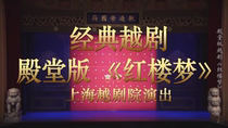 Palace Version of Yue Opera Dream of Red Mansions Zhang Xiaojun Zheng Guofeng Qian Huili Shan Yangping Wang Zhiping 2DVD