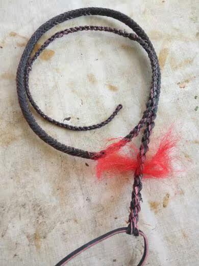 Article sports equestres - Ref 1380716 Image 12