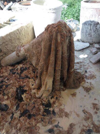 Article sports equestres - Ref 1383814 Image 16