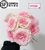 Yunnan Kunming single-headed and multi-headed bubble rose flower base straight batch of family flower arrangement water raised home