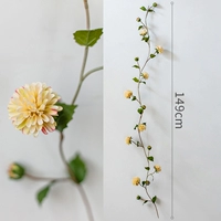 8 голова тонкой ароматной виноградной лозы хризантема