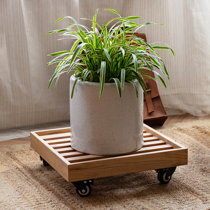 Culvert Solid Wood Moving Flower Pot Tray Flower shelf Universal wheel base Multi-meat Flower Shelf Moving Shelf Living Room-Taobao
