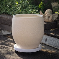 Большой цветочный горшок