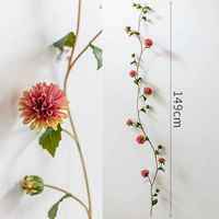 8 наложенная красная хризантемная лоза