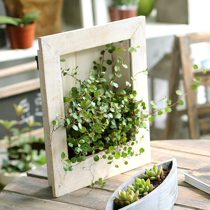 Juhan wall-mounted flower frame flower pot flower vase Solid wood hand-made old retro garden supplies ZAKKA groceries