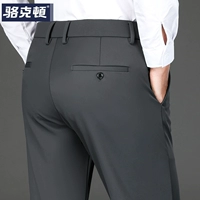 3238H темно -серый [весна и осенний стиль]