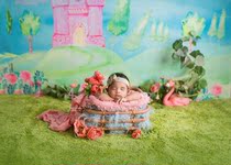 Sisi Home Lawn Carpet Green Blankets Long Hair Cushion Children Photography Newborn Photography With Background Blanket