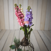 Sisi Family Emulation Floral Silk Bouquet With Newborn Photographic Baby Photo Furnishing Accessories