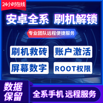 The application of mate30pro mate20 P30PRO P20 nova5pro v20 brush protection information service