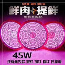 Round Indoor Fresh Meat Stall Lighting Sold Pork Used Lamp Light Meat Stall Adjustable Light Shield Light Vegetable Market
