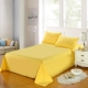 Tấm vải chéo bông đơn giường đôi đơn sắc tố màu sắc đơn sắc 1,2 m 1,5m1,8m thảm nhung trải giường