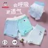 Babu bean boy children's underwear Pure cotton does not clip PP flat corner four corners shorts Baby boy middle size child high waist
