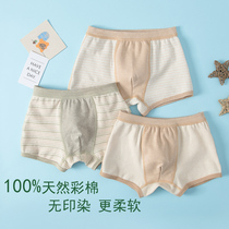 Boy flat corner briefs No bones 100% color cotton CUHK Childrens baby Four corner pants head No nip P Boy student A class