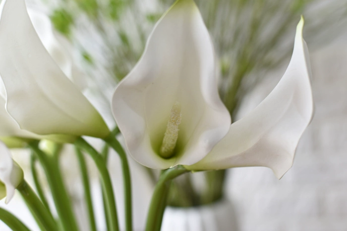 pu trắng calla lily mô phỏng hoa giả phòng khách trang trí hoa bàn trang trí hoa trang trí cắm hoa nhựa - Hoa nhân tạo / Cây / Trái cây