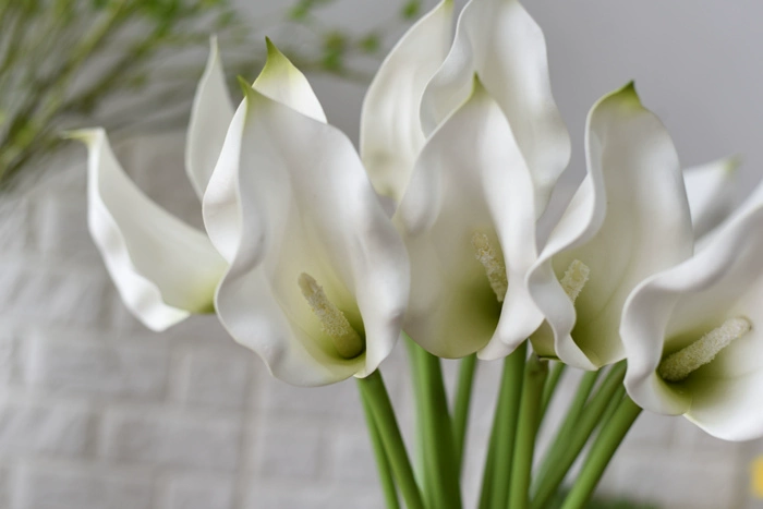 pu trắng calla lily mô phỏng hoa giả phòng khách trang trí hoa bàn trang trí hoa trang trí cắm hoa nhựa - Hoa nhân tạo / Cây / Trái cây