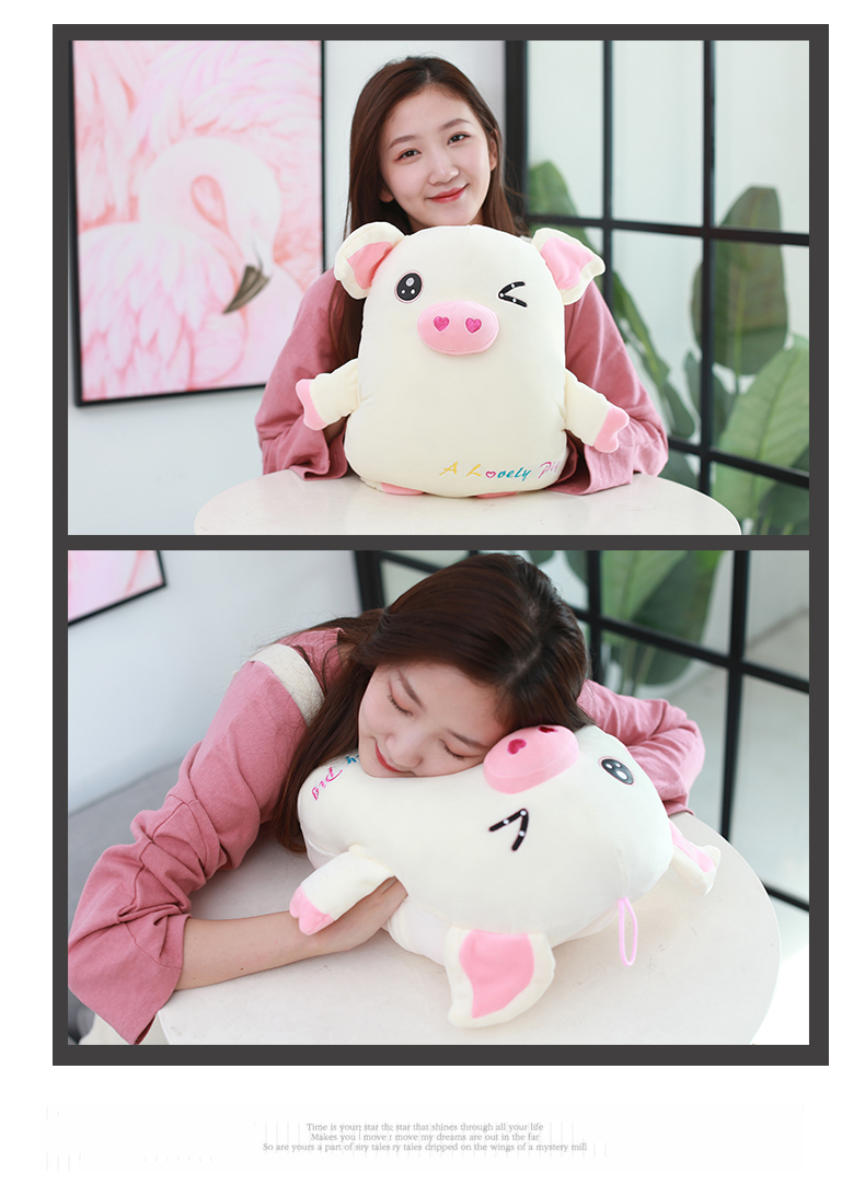 Tay ấm hơn gối can thiệp ngủ gối san hô lông cừu chăn văn phòng ghế đệm lại gối chăn đôi nữ sử dụng gối tựa lưng ghế gỗ