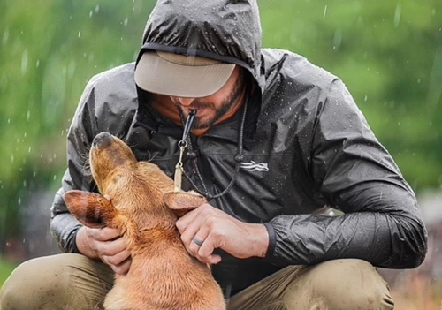 Британский ACME211.5 Fixed Crevito Dog To Dog Trains.