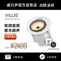 Log 6 Suck Top Sound Home Cinema Sound Box Speaker high-end shop Bluetooth ceiling suspension Fever HIFI