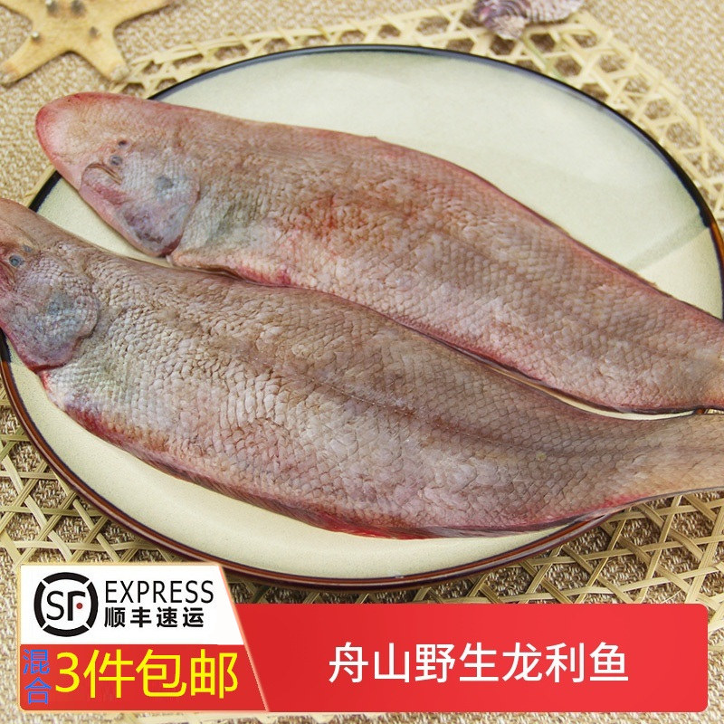 Zhoushan Sea TrapeThe Fish Fresh Longli Fish Donghai Zhoushan Seafood Aquatic Products Bipura Jade Bald 500g