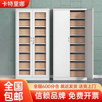 Company Financial Document Cabinet, Layered Accounting Special File Cabinet, Office Data Cabinet, Archive Cabinet, Storage Metal Cabinet