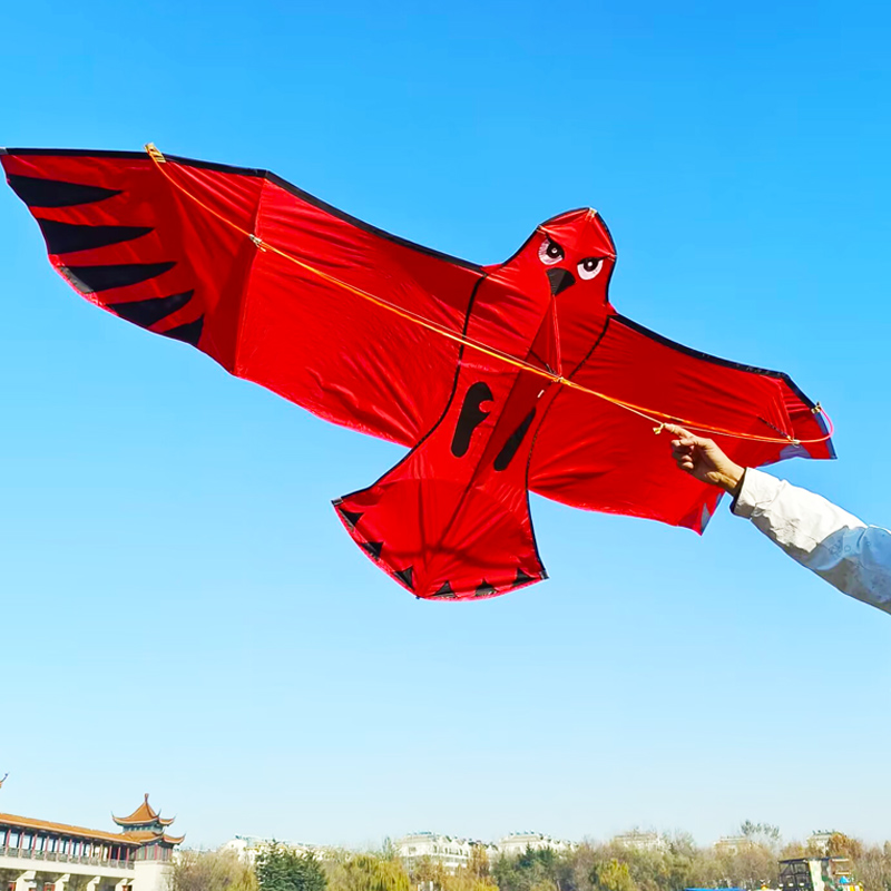 Feiyang Adult Eagles Kite Large Beginners 2024 New Umbrella Cloth Front Brace Breeze easy to fly Anti-big kite-Taobao