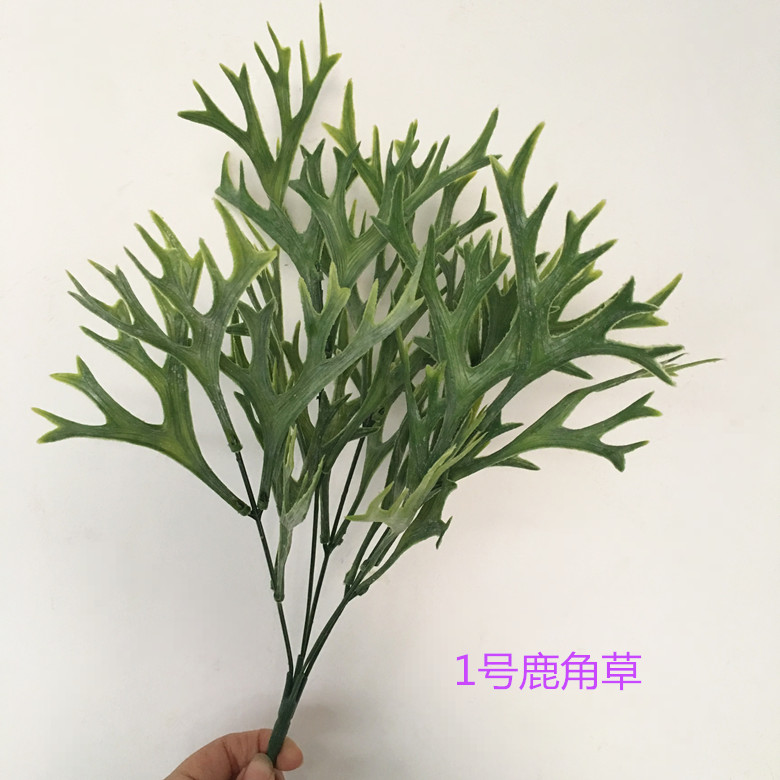 仿真植物仿真綠植仿真鹿角草植物鹿角葉多肉仿真植物仿真草仿真葉尤加利小草良品優舍 Yahoo奇摩拍賣 仿真植物仿真綠植仿真鹿角草植物鹿角葉多肉仿真植物仿真草仿真葉尤加利小草良品優舍 Yahoo奇摩拍賣
