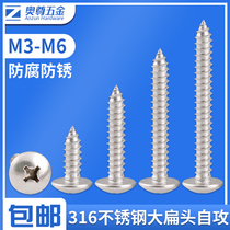 (M3M4M5M6) 316 stainless steel large flat head self-tapping screw nail cross flat head screw wood screw