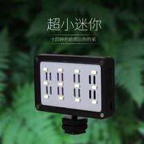 led photo small mini live light light SLR camera fill light camera light anchor shake light