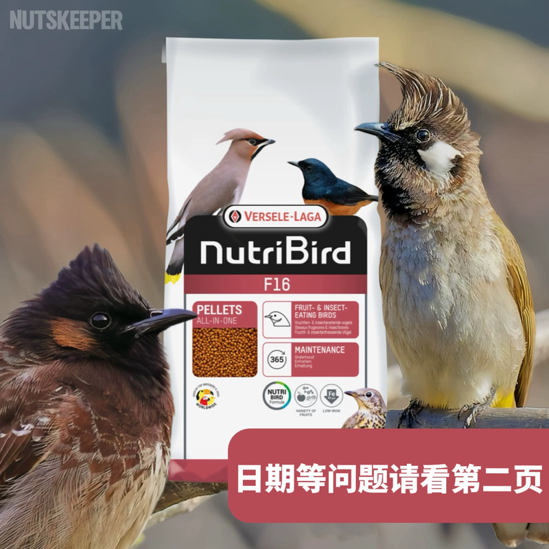 Versel F16 Nourishing Pellets Carnivorous Fruit-Eating Bird Granular Feed Vegan Material for Red-Eared Bulbul, Woodpecker, White-Headed Bulbul