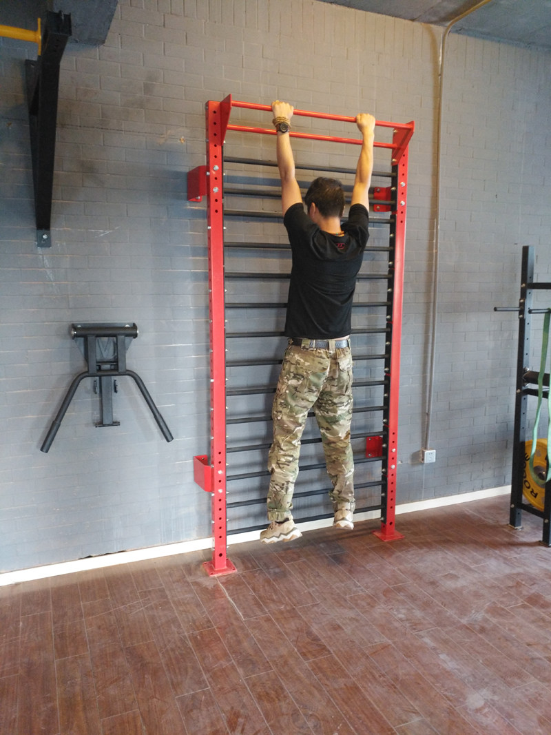 Брусья 单杠  双杠 康复架 肋排架 训练架引体向上健身房私教款 LT STRENGTH