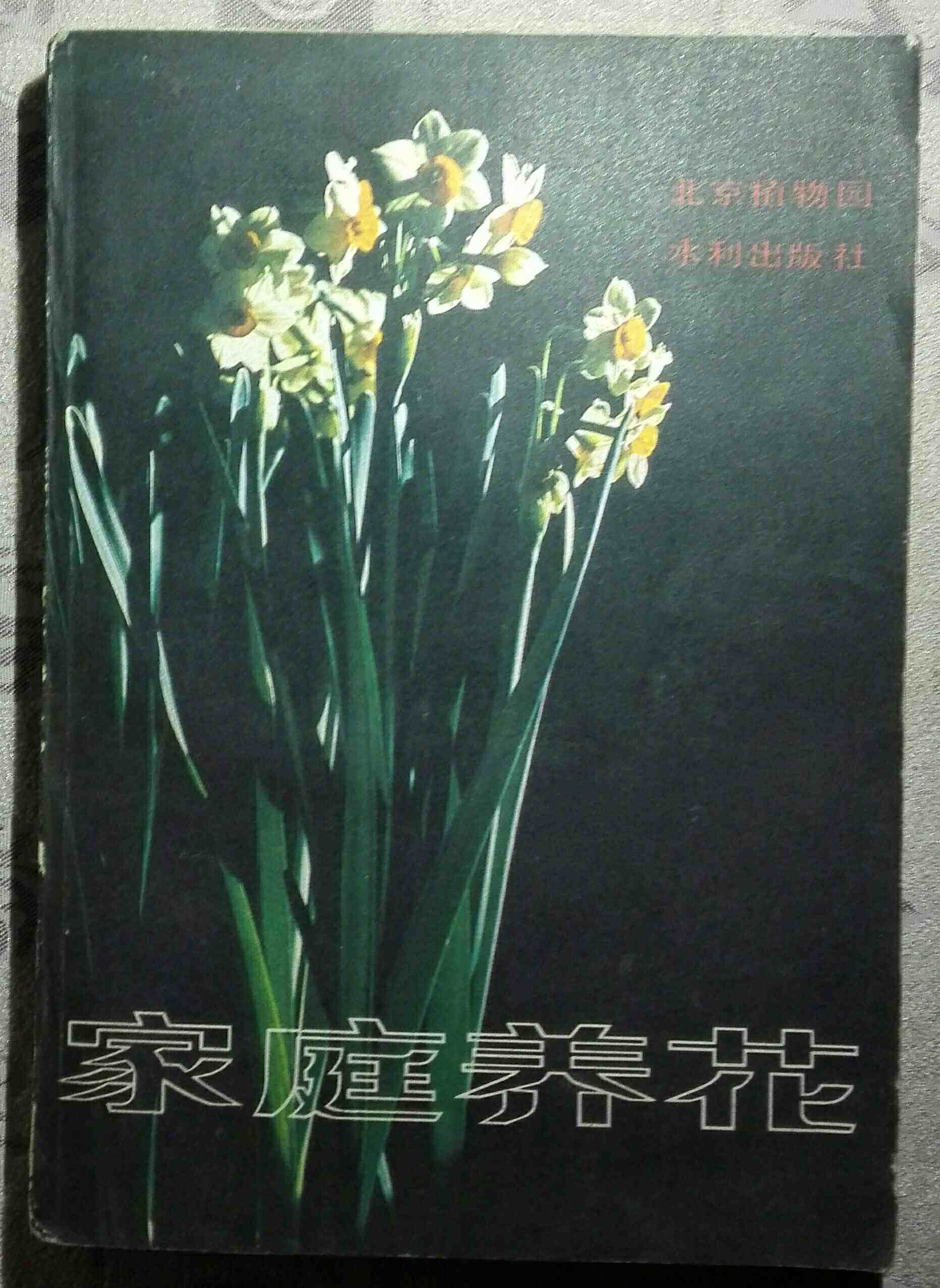 Second - hand leisure family spending more provincial postage