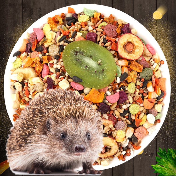 Hedgehog Grain Small Pet Africa Mini Hedgehog Food Special Grain Snack Hedgehog Fodder Hedgehog Food Supplies