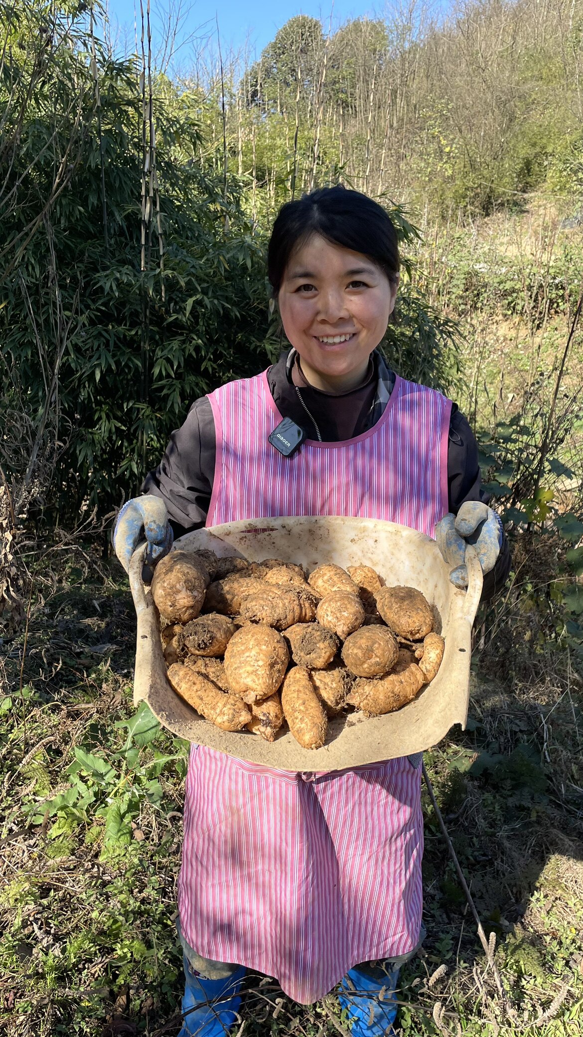 云南三生山山货