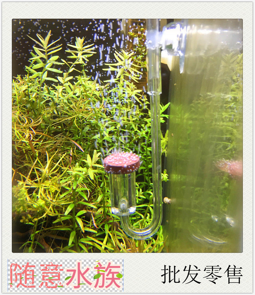 Ditz Cool Slim transparent refiner ultramicro atomizer aqua water grass fish tank carbon dioxide refiner