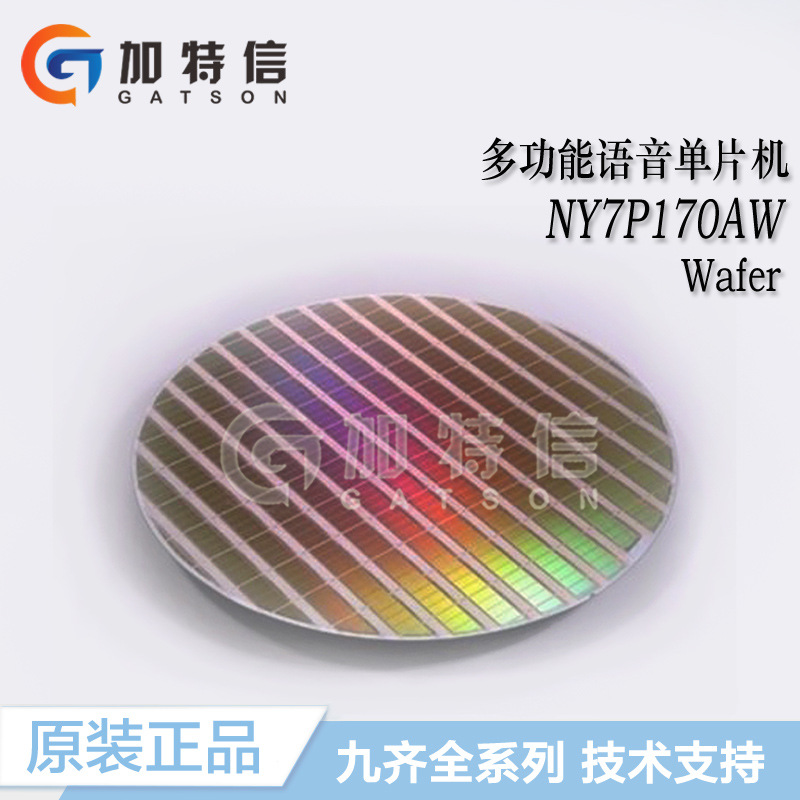 NY7P170AW Wafer wafer Nyquest Jiuzi original installed multifunction voice single wafer MCU