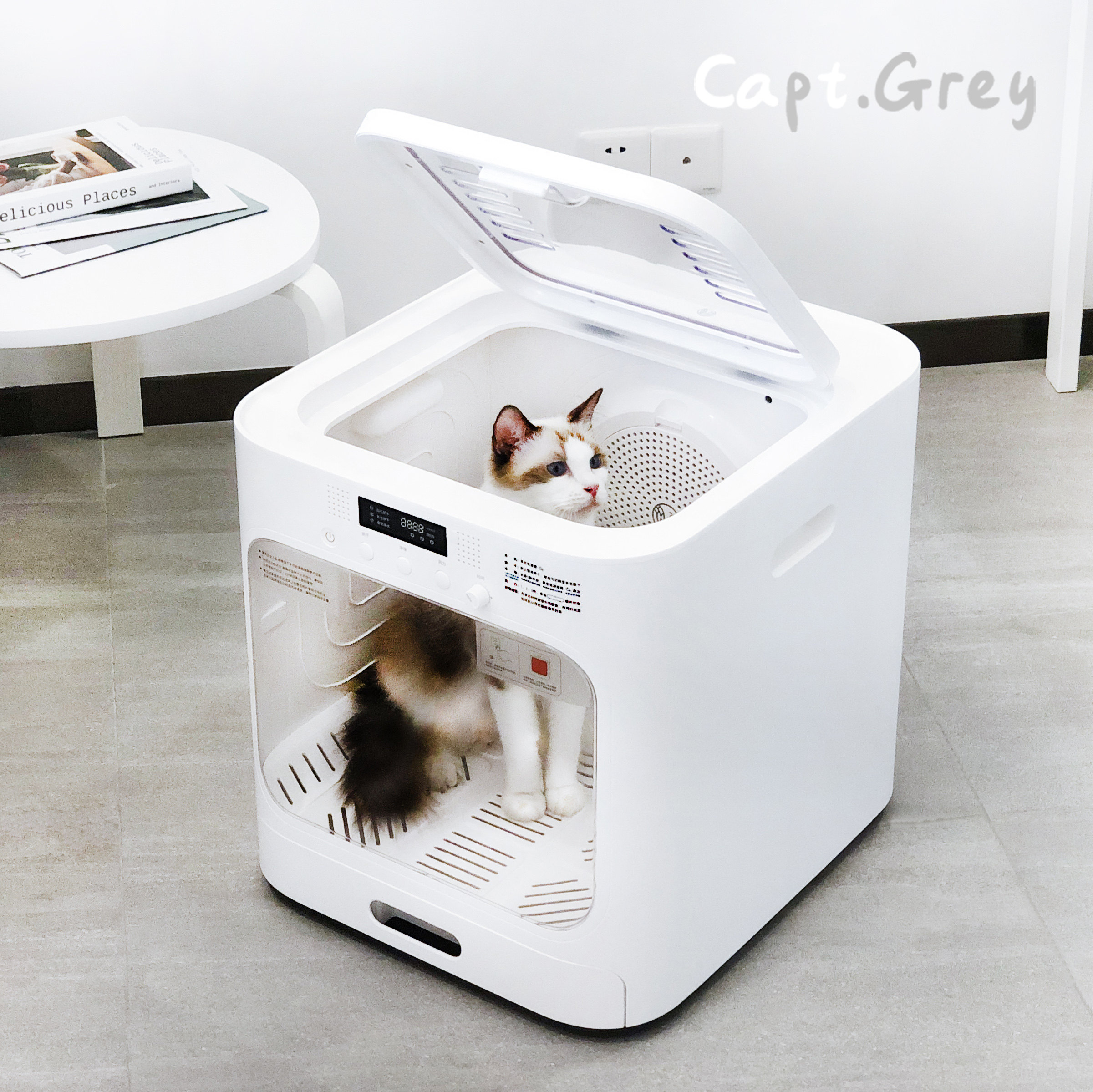 Bird flower fragrance automatic pet drying box Graycat pet dryer cat blower dog blowing hair silent
