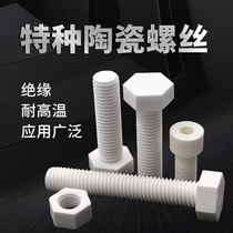 High temperature resistant ceramic screw refractory industrial ceramic screw insulated nut bolt 95 porcelain M10M12M14M16