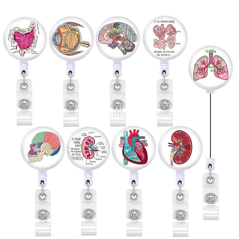 Doctor and Nurse Badge Holder, Id Badge Holder, Heart, Brain, Gastrointestinal, Human Organ Retractable Badge Holder