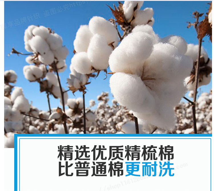 Vớ nữ vớ mùa thu và mùa đông vớ cotton trắng vớ thể thao khử mùi nông miệng phiên bản Hàn Quốc của phần dày ống ngắn vớ cotton vớ đẹp