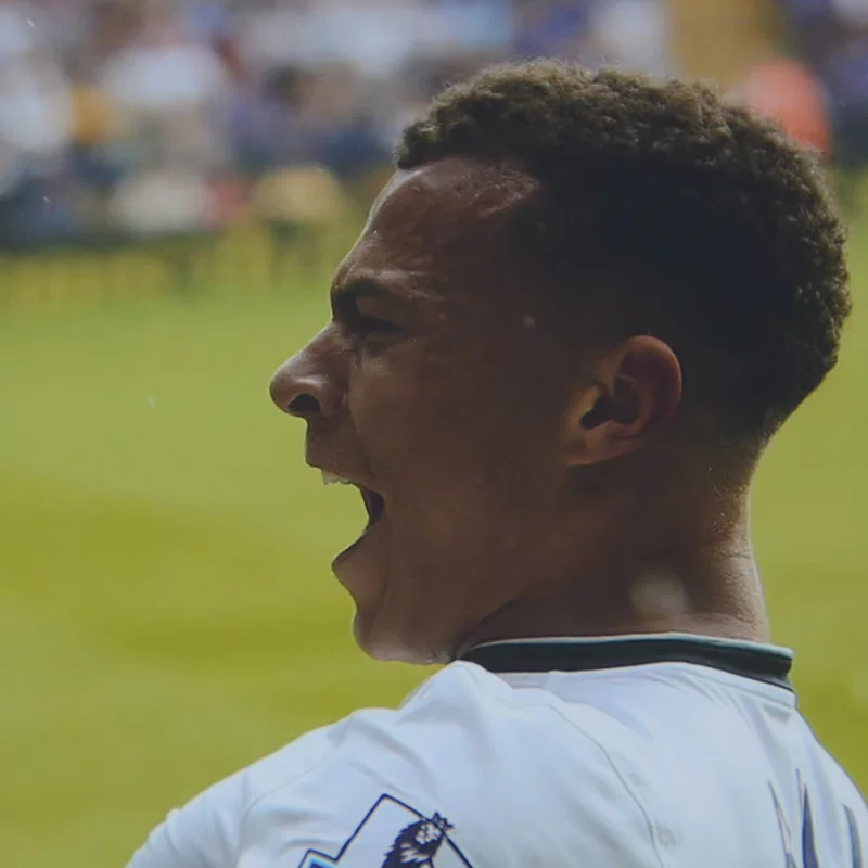 Подпись к домашнему фото-каю Tottenham от Alibaba для голов