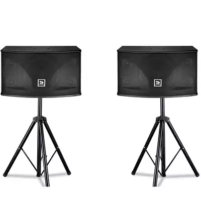 SEIGNIOR Jun home living room KTV card bag audio set meeting singing OK amplifier speaker microphone full set